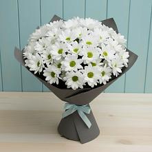 Букет цветов из:  Хризантемы #REPLACE_PRED# Троицком
