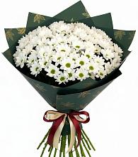 Букет цветов из:  Хризантемы #REPLACE_PRED# Троицком