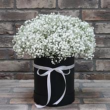 Цветочная композиция из Гипсофила в шляпной коробке в Троицком